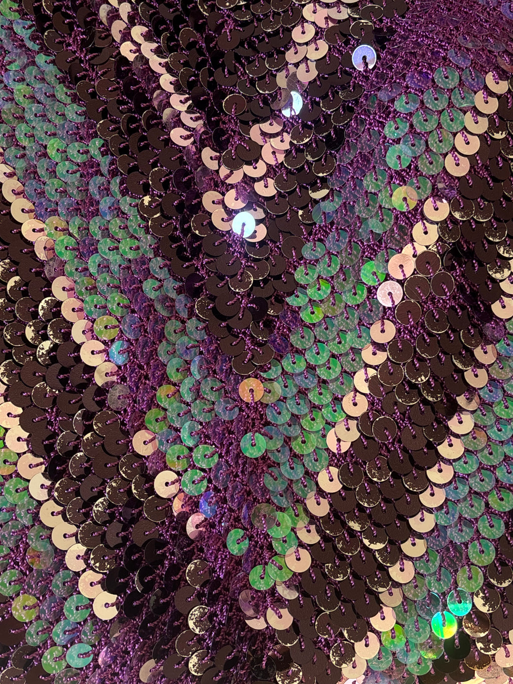 Sequin Iridescent Vintage Camisole Top